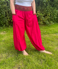 Hareem Aztec Pants.